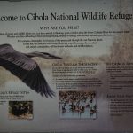 A picture of the sign at the entrance of Cibola National Refuge in Arizona
