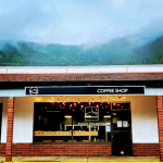 Foggy Mountain Coffee Shop, Port Alice, BC Canada